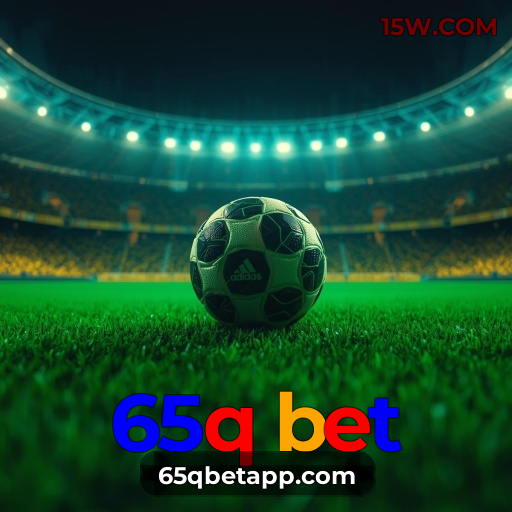 Níveis do programa VIP da 65q bet